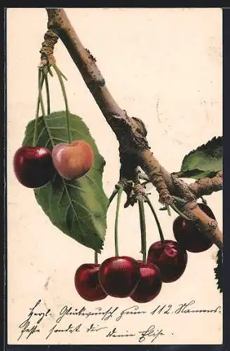 AK Rote Kirschen an einem Zweig