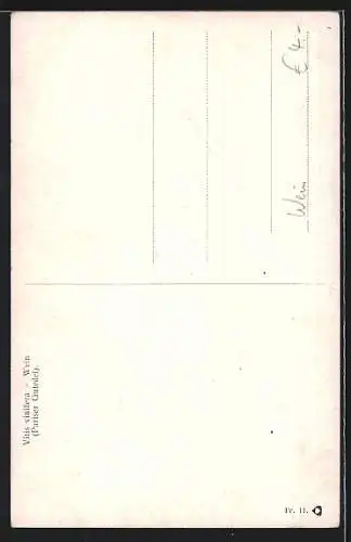 AK Grüne Trauben an der Rebe