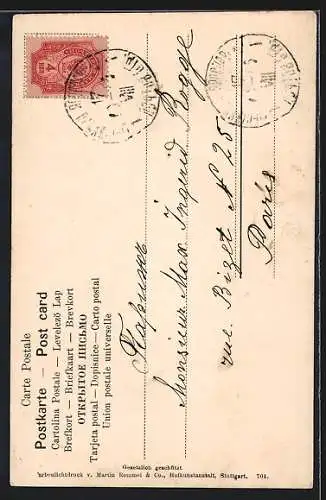 AK Stachelbeeren am Zweig eines Strauches