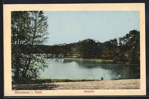 AK Sternebeck i. Mark, Seepartie