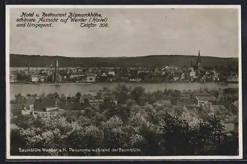 AK Werder / Havel, Panorama während der Baumblüte, Hotel & Restaurant Bismarckhöhe