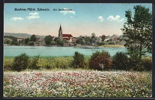 AK Bad Buckow / Märk. Schweiz, Ortsansicht mit Buckowsee