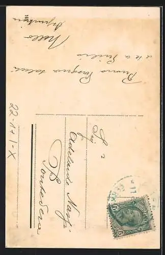 AK Firenze, Tempio Israelitico, Synagoge