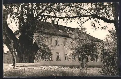 AK Vieselbach /Kr. Erfurt, Akazie am Feierabendheim
