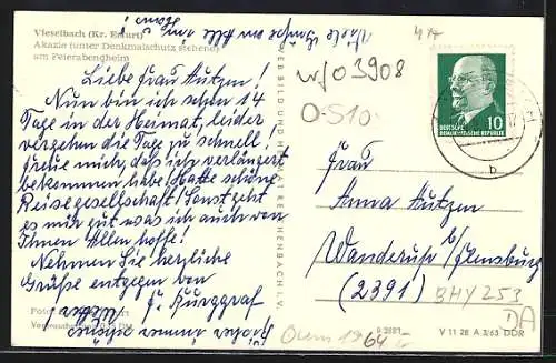 AK Vieselbach /Kr. Erfurt, Akazie am Feierabendheim