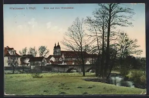 AK Waldsassen i. Obpf., Blick aus dem Wondrebtal