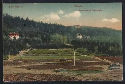 AK Wunsiedel, Blick auf Hotel Waldlust, Haberstein und Restauration Luisenburg