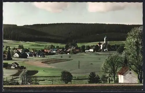 AK Mehlmeisel, Ortsansicht mit Blick auf das Fichtelgebirge