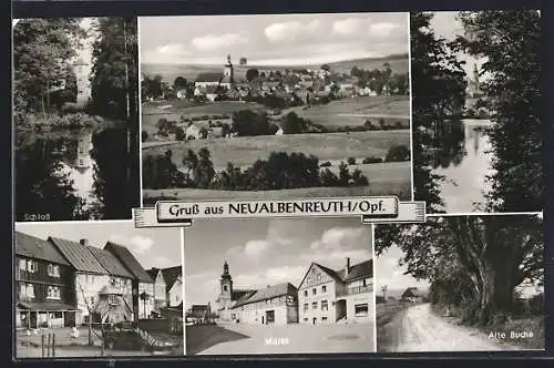 AK Neualbenreuth /Opf., Markt, Alte Buche, Schloss