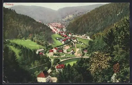 AK Triberg, Ortsansicht mit Bergpanorama