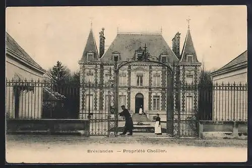 AK Bréviandes, Propriété Chollier