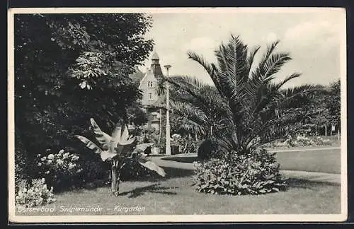 AK Swinemünde, Partie im Kurgarten