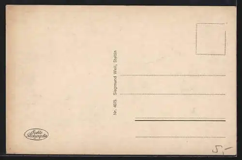 AK Swinemünde, Strandpromenade aus der Vogelschau