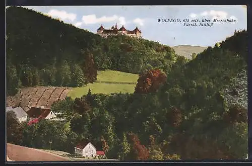 AK Wolfegg / Ravensburg, Blick auf das Fürstl. Schloss