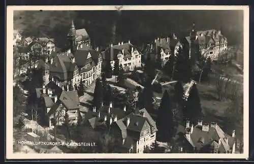 AK Falkenstein / Taunus, Fliegeraufnahme