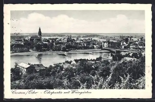 AK Crossen / Krosno Odrz, Oderpartie mit Ortsansicht