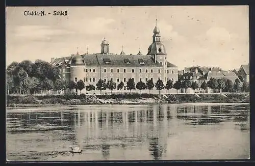 AK Cuestrin / Kostrzyn, Blick zum Schloss