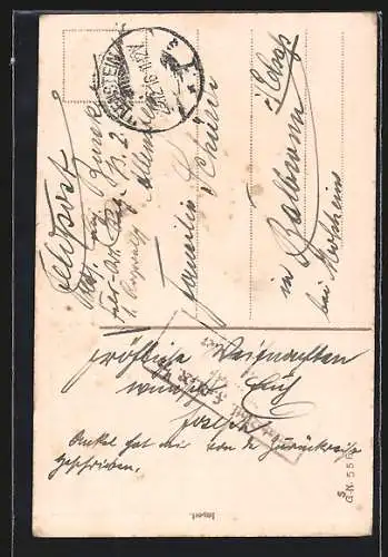 AK Gesegnete Weihnachten, Tannenzweig mit Reichsfahne
