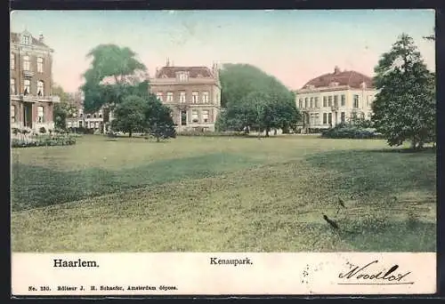 AK Haarlem, Kenaupark