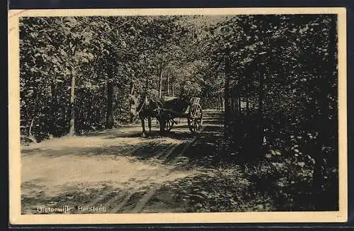 AK Oisterwijk, Heisteeg