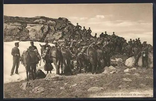 AK Schweizer Gebirgsartillerie, Saumtiere in Deckung