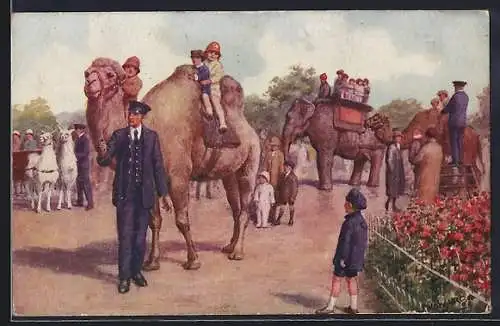 AK London, Zoological Gardens, Kinder reiten auf Kamel und Elefanten