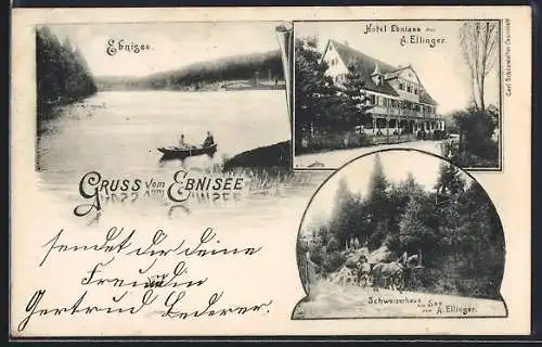 AK Ebnisee, Hotel Ebinsee und Schweizerhaus am See, Bes. A. Ellinger, Seepartie