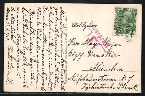 AK Österreichische Armee, Die Erstürmung der Magiera, Rotes Kreuz