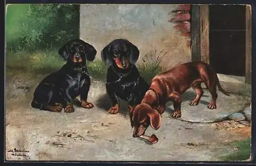 Künstler-AK Alfred Schönian: Drei Dackel mit einem Knochen