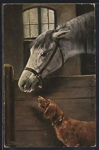 Künstler-AK August Müller - München: Hund schaut zu Pferd auf