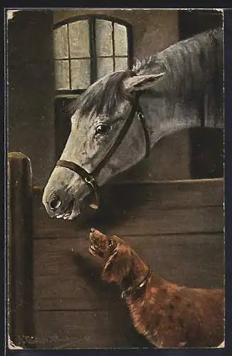 Künstler-AK August Müller - München: Hund schaut zu Pferd auf