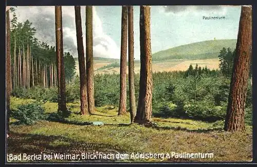 AK Bad Berka, Blick nach dem Adelsberg & Paulinenturm
