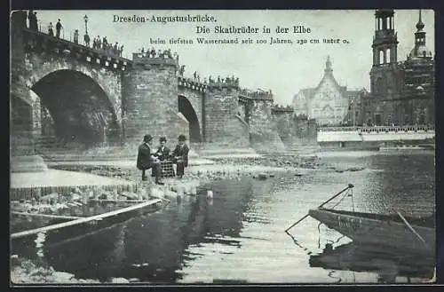 AK Dresden, Die Skatbrüder in der Elbe, Augustusbrücke mit teifsten Wasserstand seit 100 Jahren 230 cm unter 0, Skat