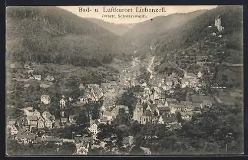 AK Bad Liebenzell, Ortsansicht aus der Vogelschau