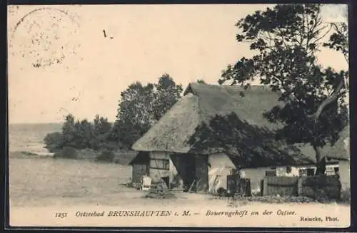 AK Müritz / Ostsee, Bauerngehöft