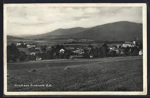 AK Arnbruck, Panorama mit Gebirge