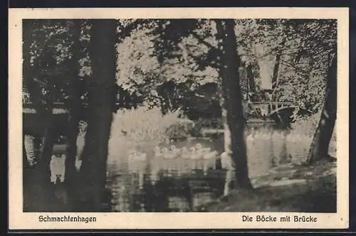 AK Schmachtenhagen / Oranienburg, Die Böcke mit Brücke