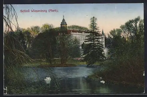 AK Wiesenburg / Mark, Blick zum Schloss, Schwan