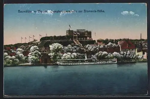 AK Werder / Havel, Dampferanlegestelle zur Bismarck-Höhe bei Baumblüte