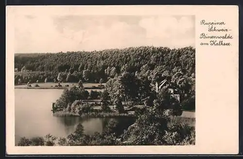 AK Binenwalde / Ruppiner Schweiz, Teilansicht mit Kalksee
