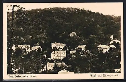 AK Bad Freienwalde, Blick ins Brunnenthal