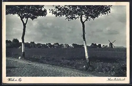 AK Wiek a. Rg., Partie am Ortsteich