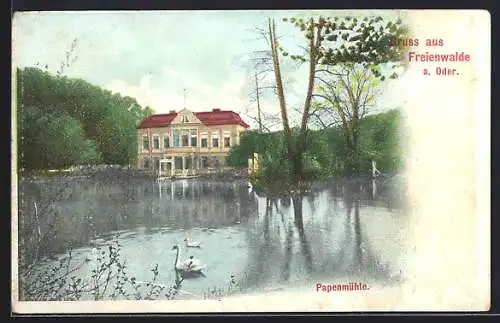 AK Freienwalde a. Oder, Papenmühle, Schloss mit Teich
