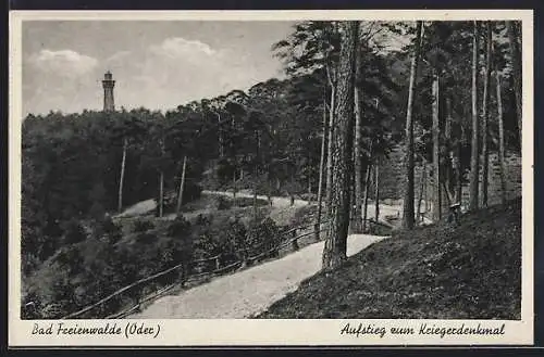 AK Bad Freienwalde /Oder, Aufstieg zum Kriegerdenkmal