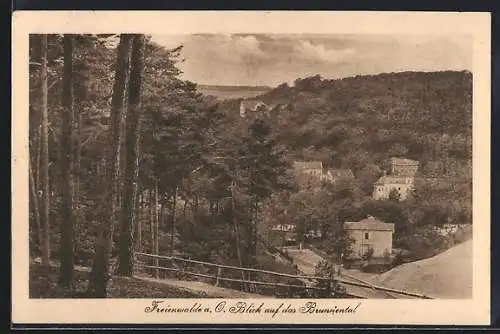 AK Freienwalde a. O., Blick auf das Brunnental