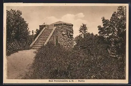 AK Bad Freienwalde a. O., Die Ruine