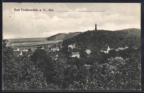 AK Bad Freienwalde a. O., Teilansicht mit Blick zum Kriegerdenkmal