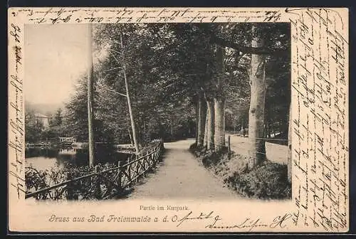 AK Bad Freienwalde a. d. O., Partie im Kurpark