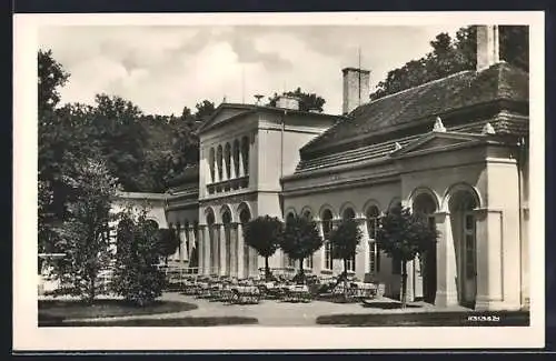 AK Neustrelitz, Orangerie am Stadtpark