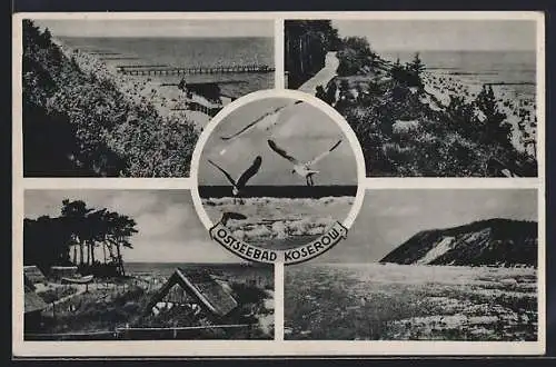 AK Koserow, Ortsansichten, Blick auf den Strand, Möwen, Klippen